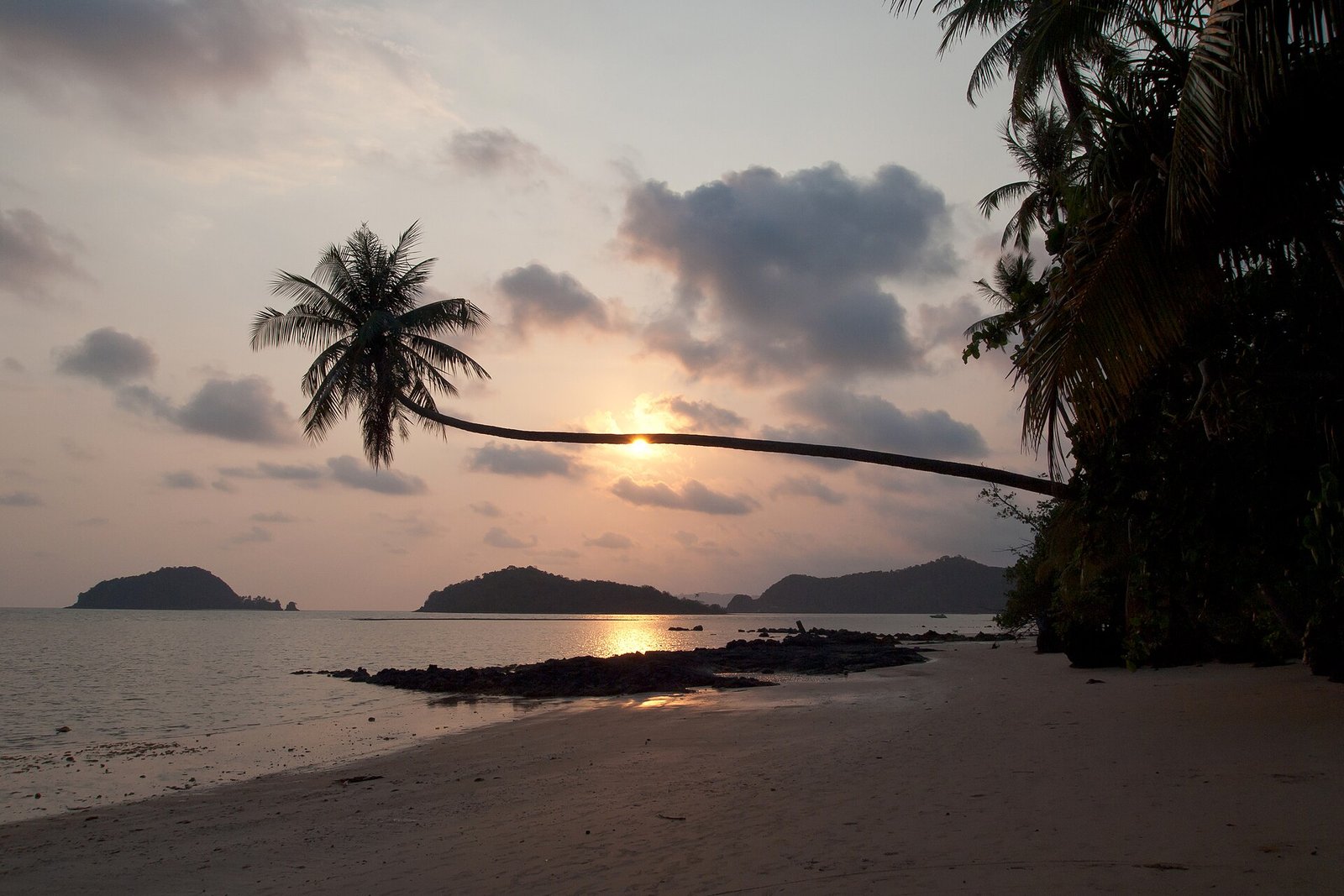 Thailand Beach Guide: Phuket, Krabi, Koh Samui, Khao Lak, and Which One Fits You